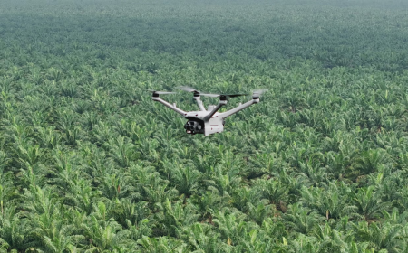 Pemantauan Keamanan Hutan dan Deteksi Kebakaran Lahan dengan DJI Dock 3